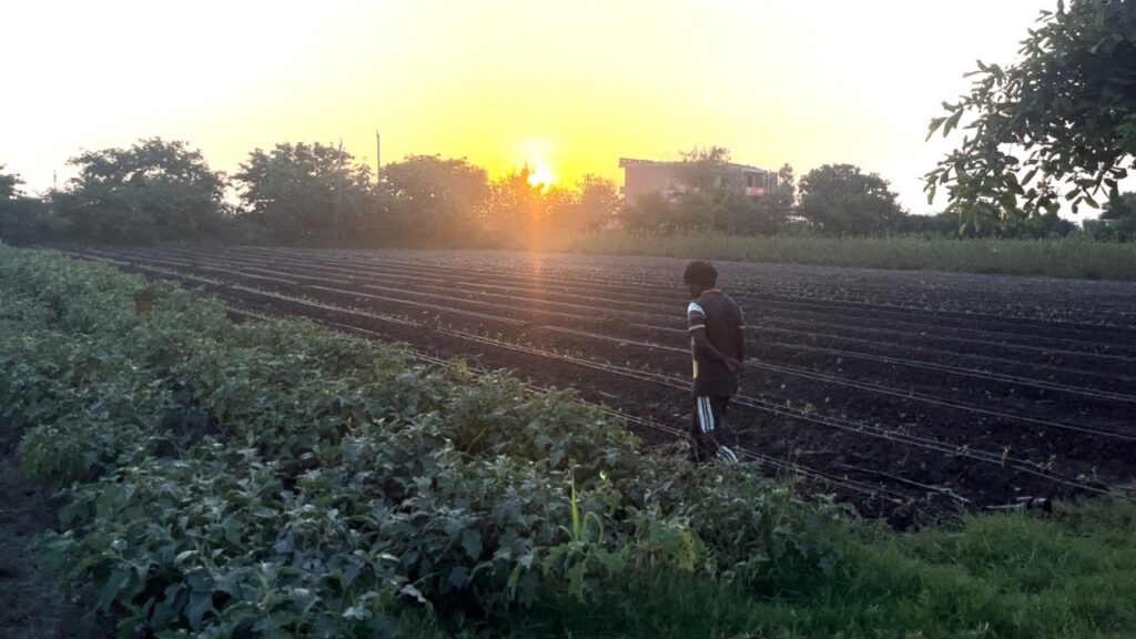 Agriculture Farming